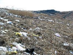 View Of The Dump Ridgeline