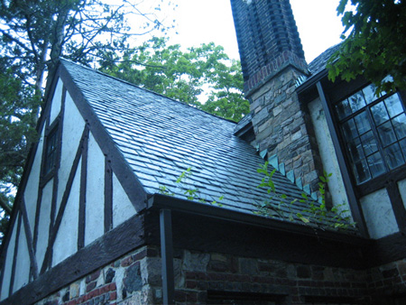 Slate Roof, Foliage Growing In The Gutter