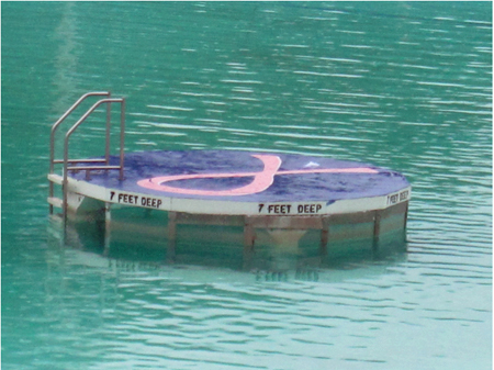 The Pink Ribbon In Lincoln Park Pool
