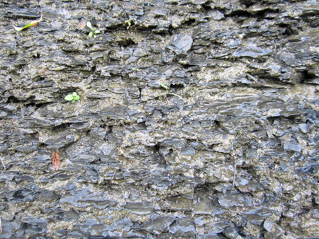 Shale Gravel Glued With Sedimentary Rock Dripping Water