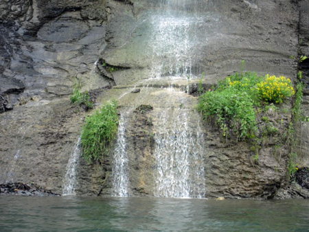 Waterfall, Staghorn Cliffs
