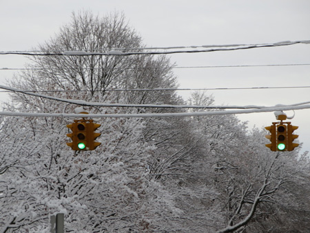 Morton Avenue And South Swan Street, Thanksgiving Morning