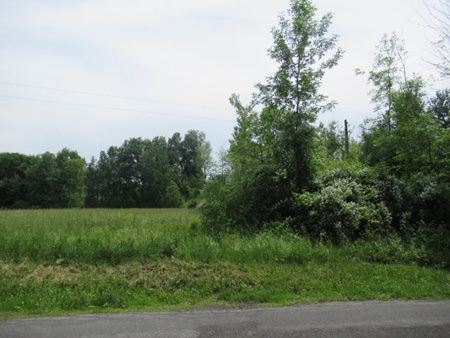 Edge Of The City Of Albany Property Along Old Ravena Road At Right, Privately Owned Fallow Farm Field At Left