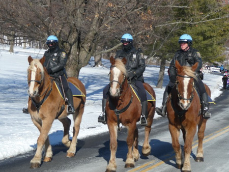 Cold Cops On Horses